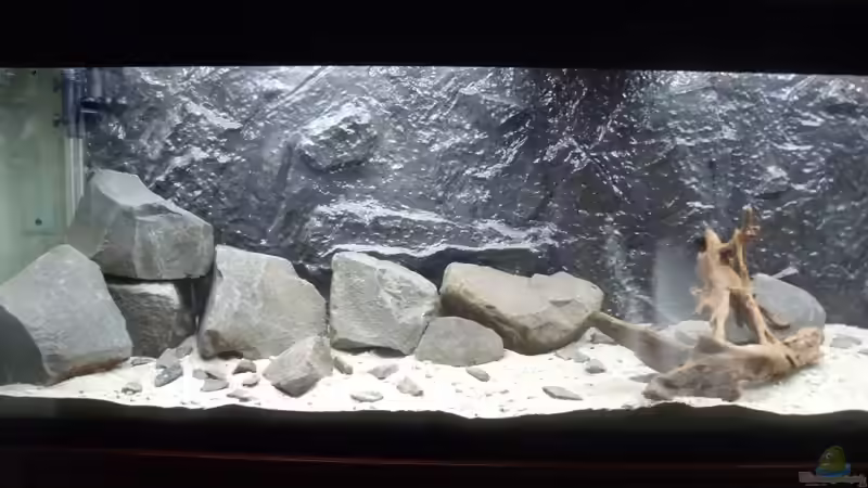 Felsen von lupusmedicus (4)