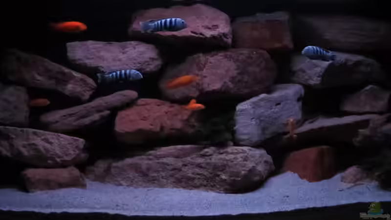 Felsenansicht - 15.01.13 von aquamika (2)