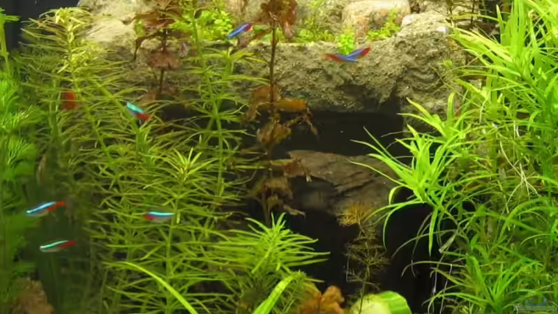 Felsenhöhle und Terrasse von Engelbert Rupnow (3)