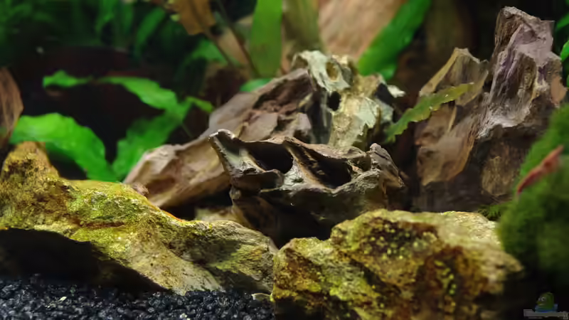 ´Felsenmeer´ von Herr H. (5)