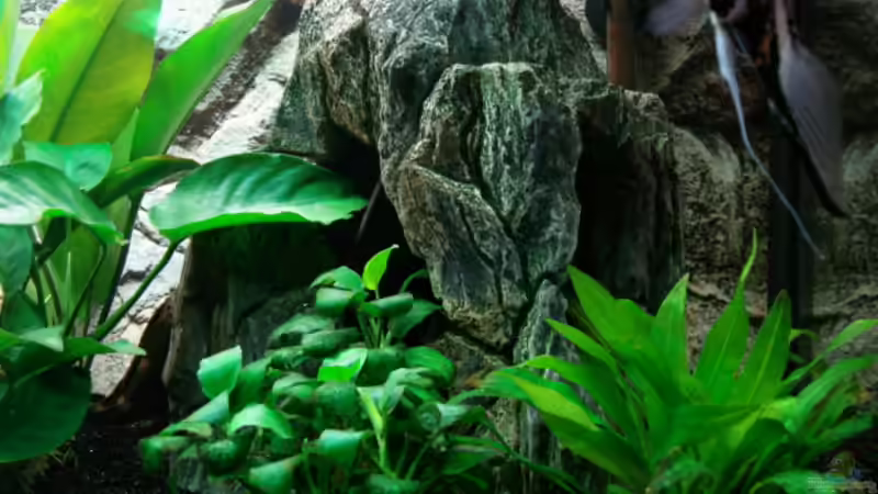 Felshöhle von Dirk Linke (12)