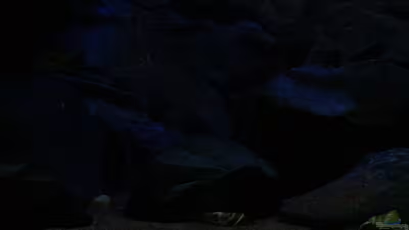 Felslandschaft von Michael Reiz (3)