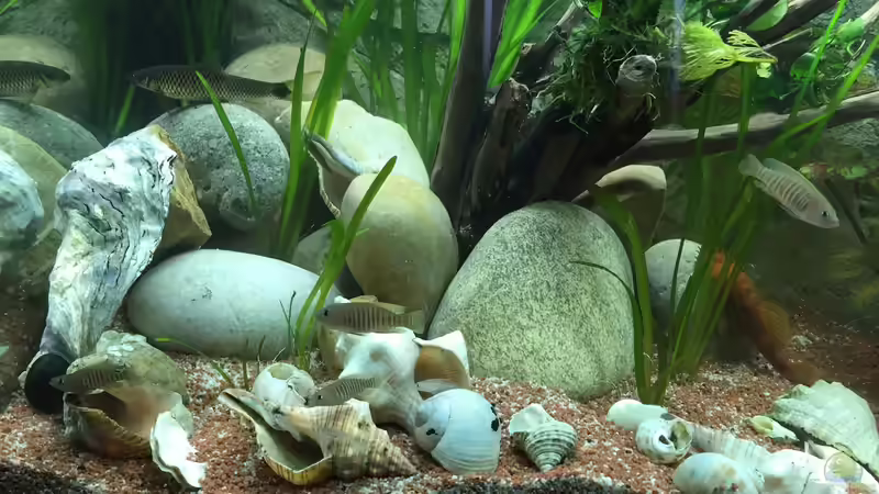 Felsliteral  von Bastibyday (2)