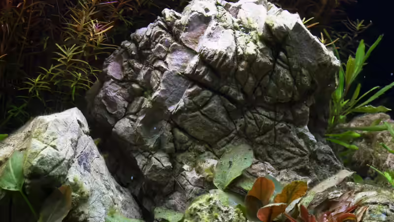 Felsnachbildungen - Leopardengestein 02.11.2013 von GoreSlayer (17)