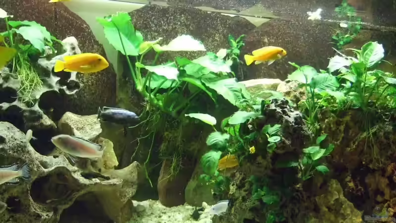 Felsplatten von Frank Seifarth (9)