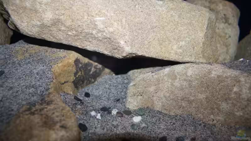 Felsspalte von StevenS (5)