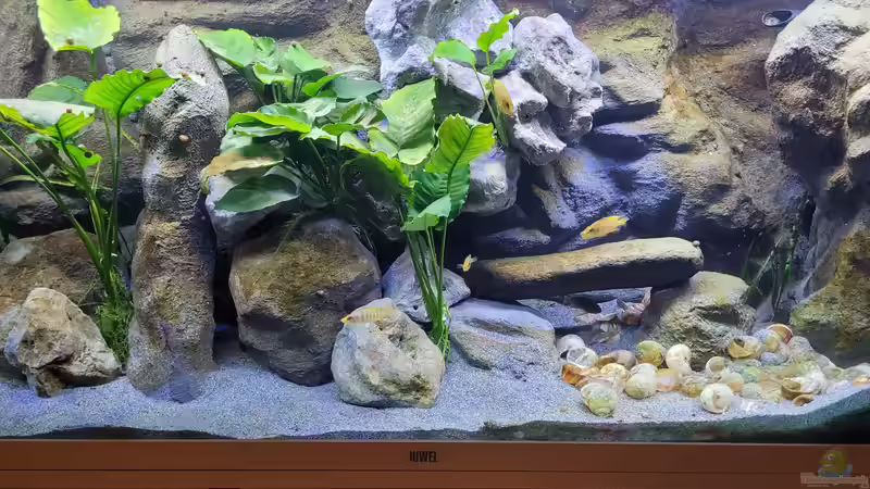 Felsüberhang  von Chris Heerwagen (77)