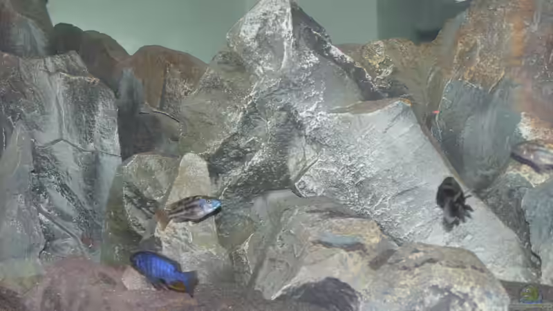 Felszone von Swenni (6)