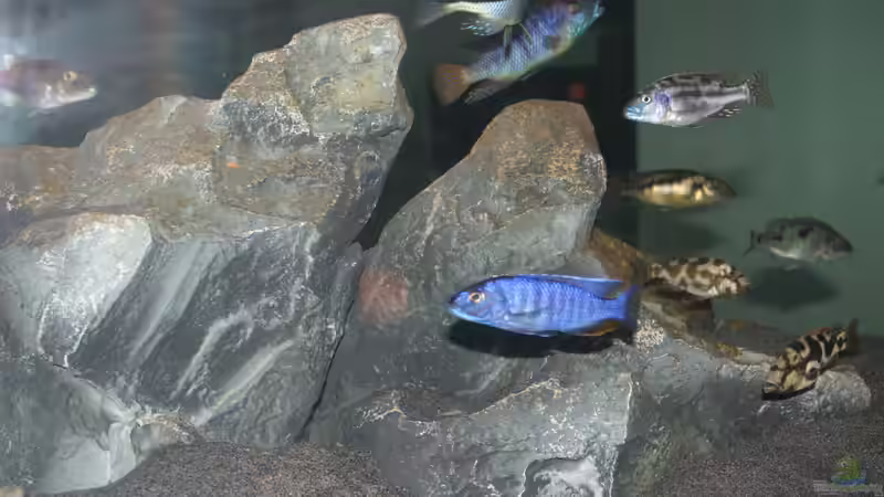 Felszonen ??bergang von Swenni (7)