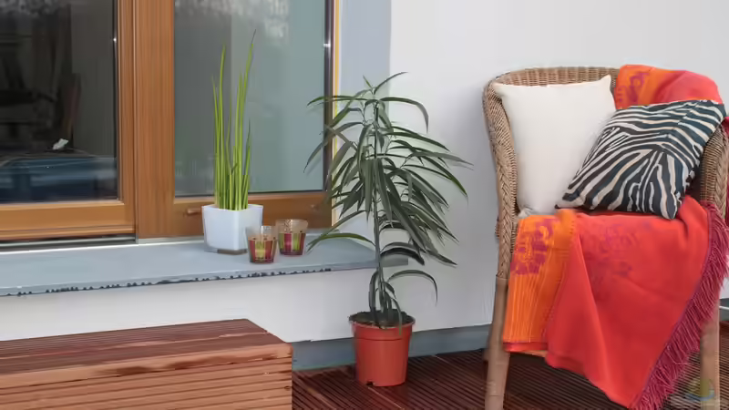 Feng Shui bei der Terrassenplanung berücksichtigen