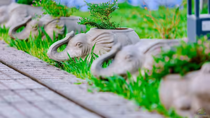 Feng Shui bei der Terrassenplanung berücksichtigen