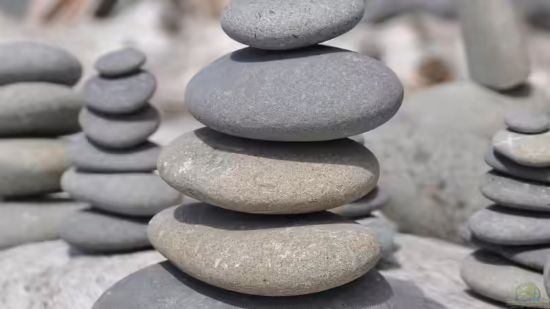 Feng Shui bei der Terrassenplanung berücksichtigen