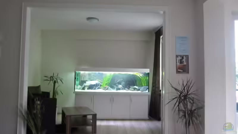 Fernansicht von Patrick K. (2)