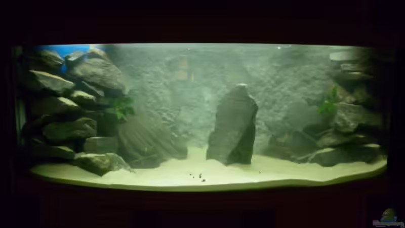 Fertig, Rückwand jetzt in Steingrau von Julien Preuß (13)