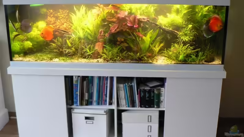 Fertig ! von Der Nicky (22)