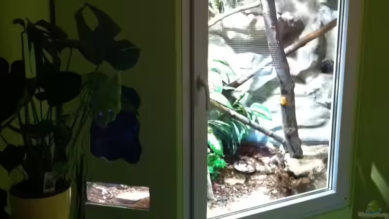 Fertig angestrichen und mit neu verlegtem Fußboden im Bastelzimmer - ehm Esszimmer... von Betta Chris (6)