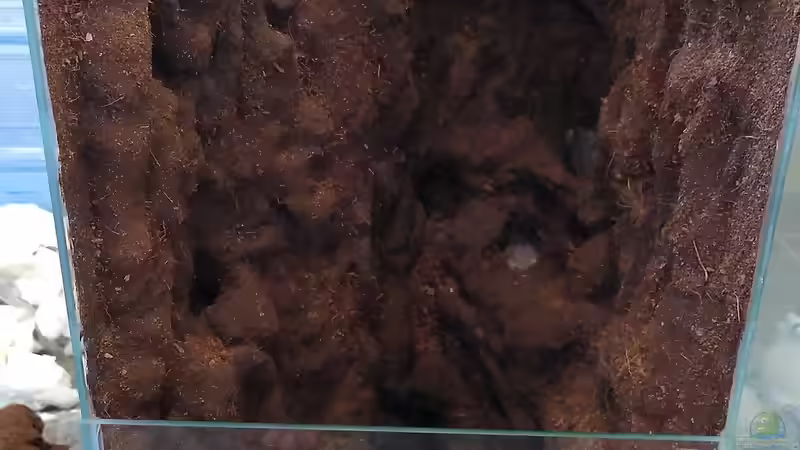 Fertig beflockt mit Kokosfasern von Stephi (23)