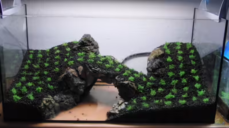 Fertig bepflanzt...... von Microsash (4)