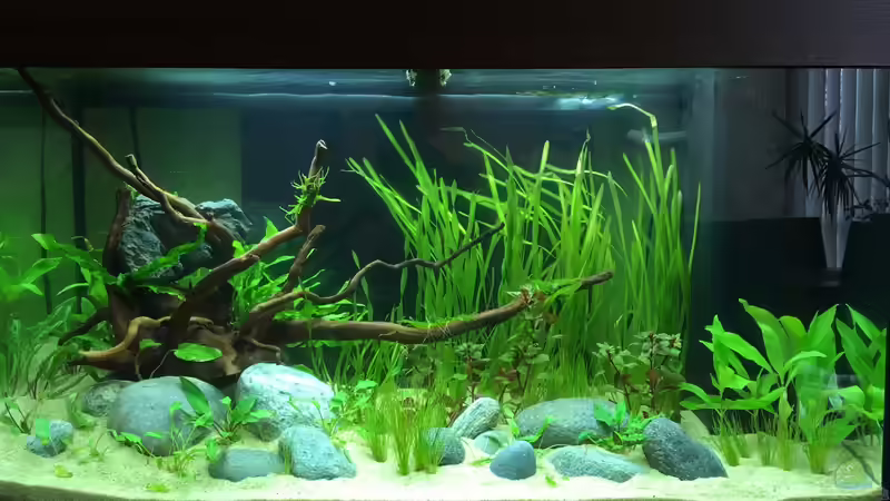 Fertig bepflanzt, 24.01.2019 von Yell0W (3)