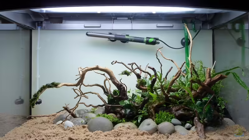 Fertig bepflanzt von Martin W. (17)