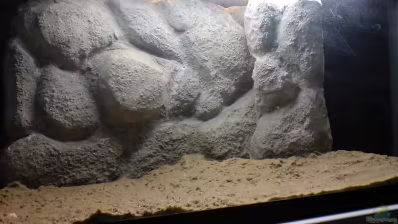 Fertig eingebaute Rückwand von timme (37)