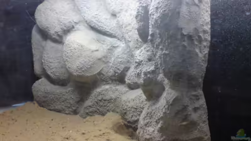 Fertig eingebaute Rückwand von timme (38)