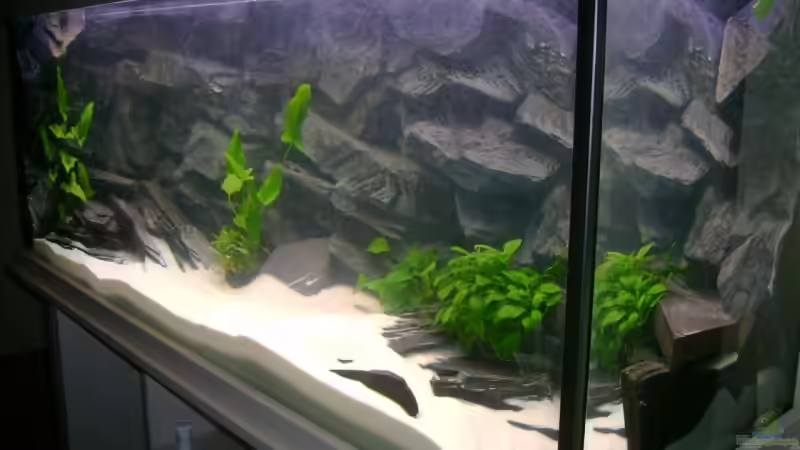 fertig eingericht, warte auf Bewohner von Oliver Jaguczak (3)