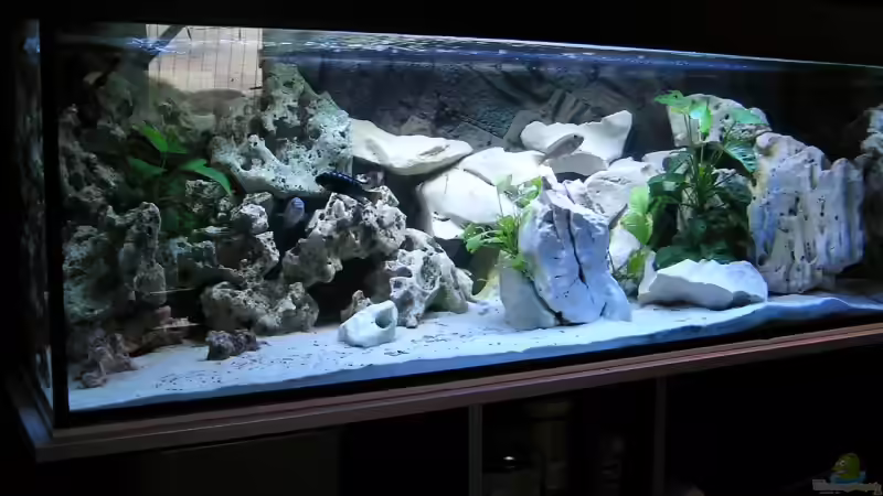 Fertig eingerichtet... von Tiger81 (2)