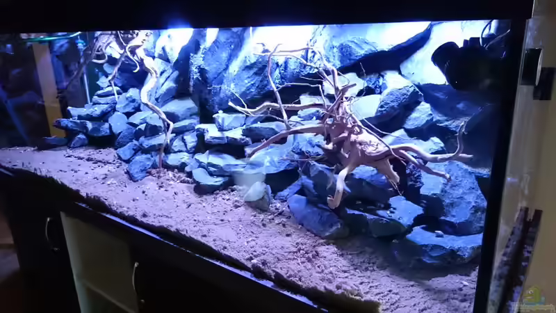 Fertig eingerichtet, Wasser kann kommen! von Tobias Summerer (15)