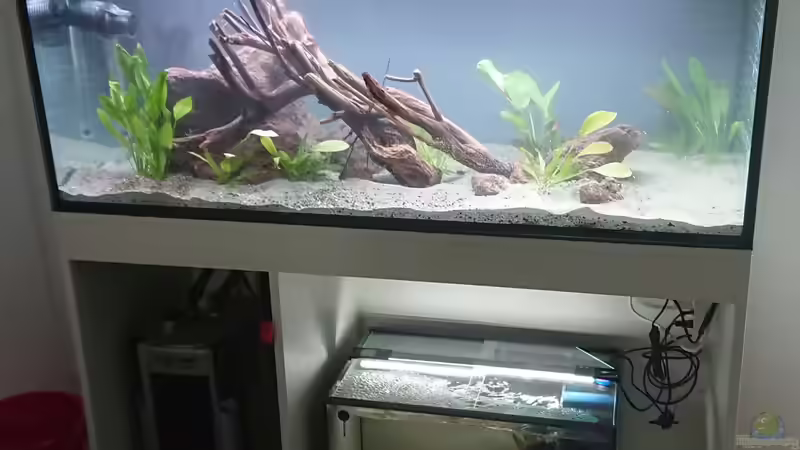 fertig Eingerichtet und befüllt im Juli 2022 von Philip (4)