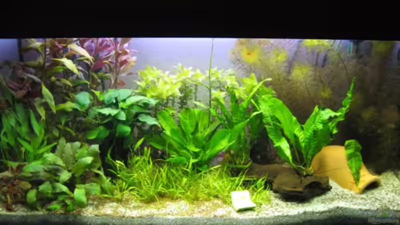 Fertig eingerichtet von Sascha Bötzel (4)