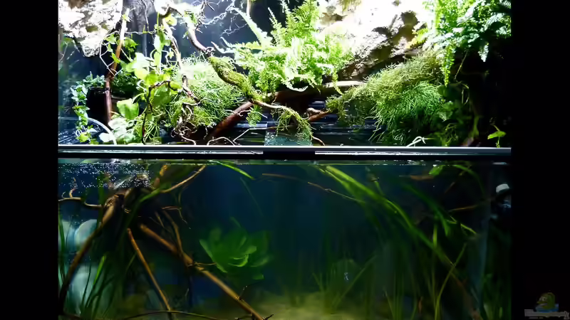 Fertig für heute! :-) von ~Marco~ (2)