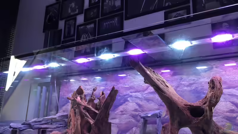 fertig gebaut von stroelly (31)