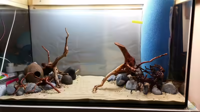 Fertig mit dem Hardscape von KleinerPlaty (9)