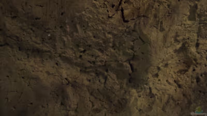 fertig mit Sand abgestreut und versiegelt von Malawigo (24)