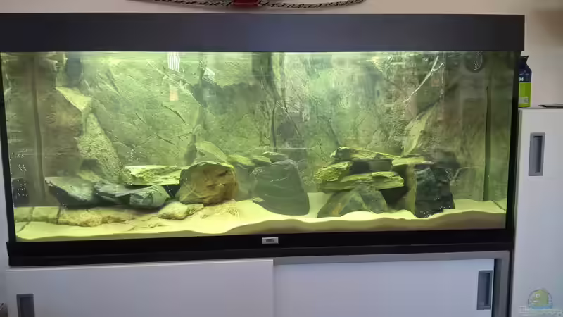 fertig mit Wasser gefüllt von Frank Furt (1)