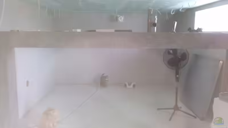 Fertig verputzt,Danke an Torsten und Carsten von Hayabusa (17)