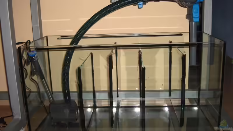 Fertig verrohrtes Filterbecken mit Eheim Pumpe und Jäger Heizstab von Matoba (13)