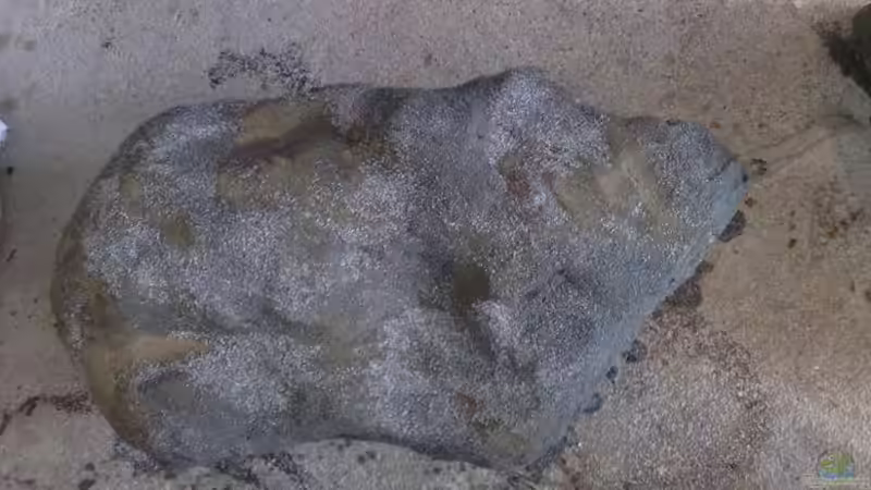 Fertig von Chris_R. (15)