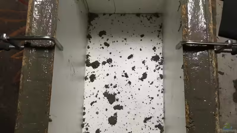 Fertig von Chris_R. (20)