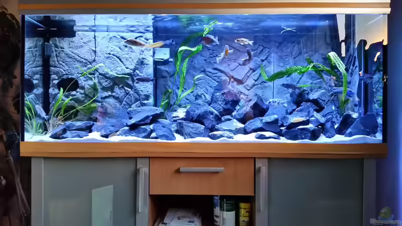 Fertig von Christian Osterloh (8)