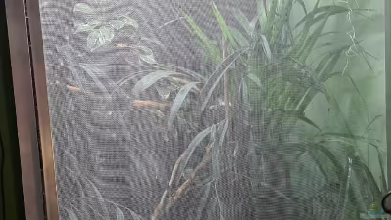 Fertig! von Cichliden-Kabuff (11)