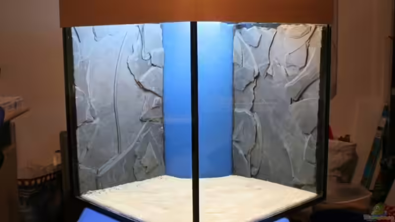 Fertig zum befüllen:) von Oxid (6)