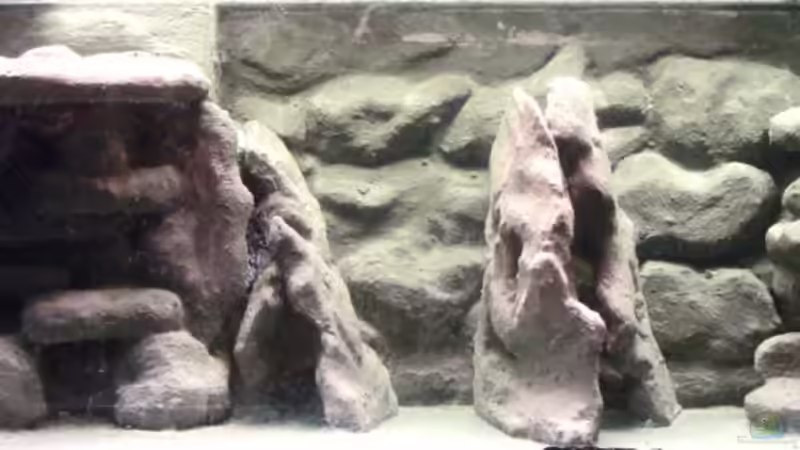 Fertige Aufbauten beim wässern von Miriam (7)