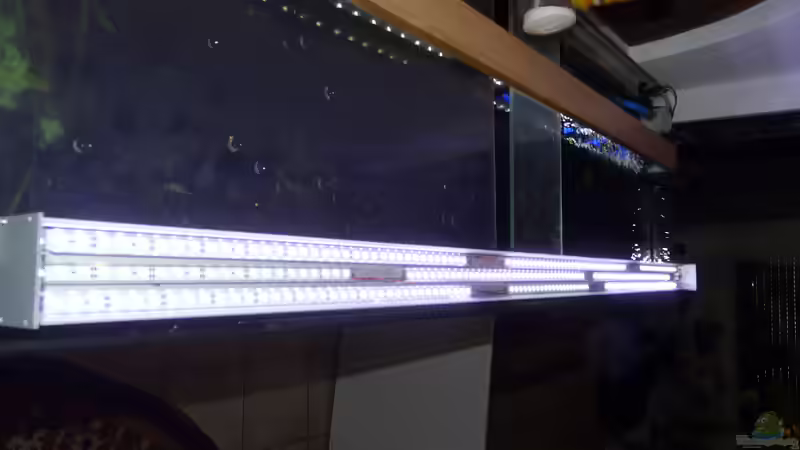 Fertige Beleuchtung ohne Glasabdeckung von Ravenclaw57 (27)