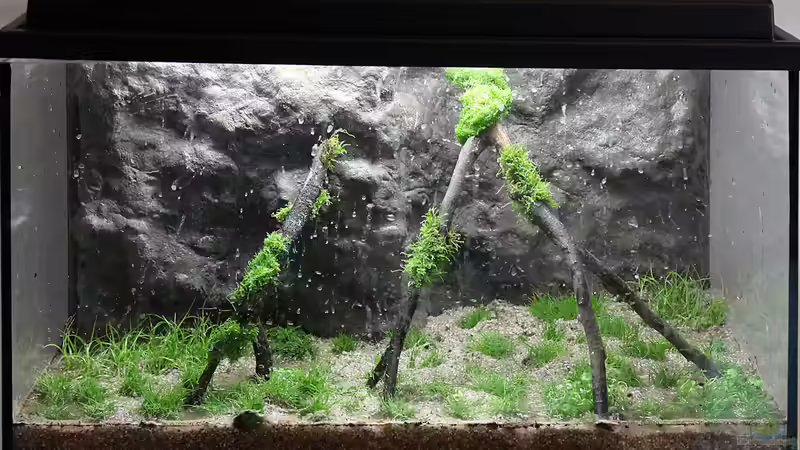 Fertige Dekoration vor dem Befüllen des Beckens von Tilo Schmiedl (8)