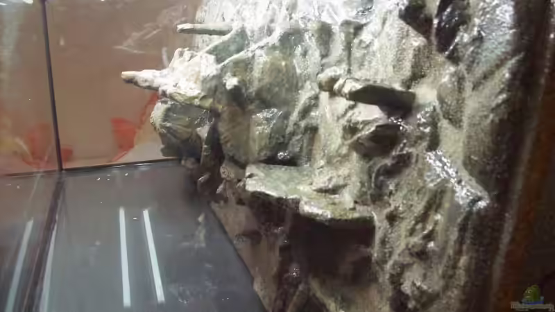 Fertige Rückwand noch nicht eingeklebt von Vili (5)