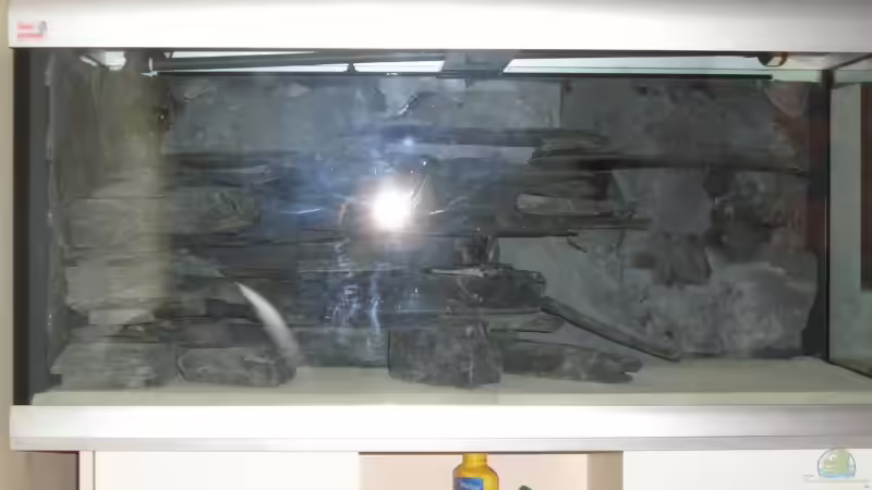 Fertige Rückwand ohne Wasser besseres Bild Folgt von Marc Weise Manuela Schmidt & (5)