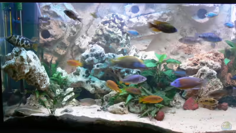 Fertige Rückwand von Christian Klar (23)