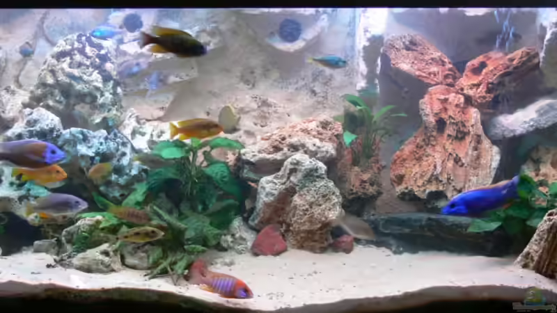 Fertige Rückwand von Christian Klar (24)